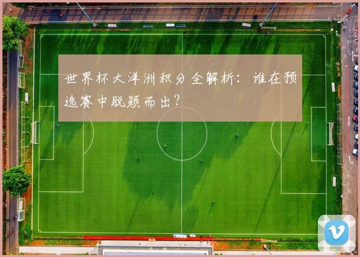 世界杯大洋洲积分全解析：谁在预选赛中脱颖而出？