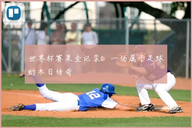 世界杯赛果全记录：一场属于足球的冬日传奇