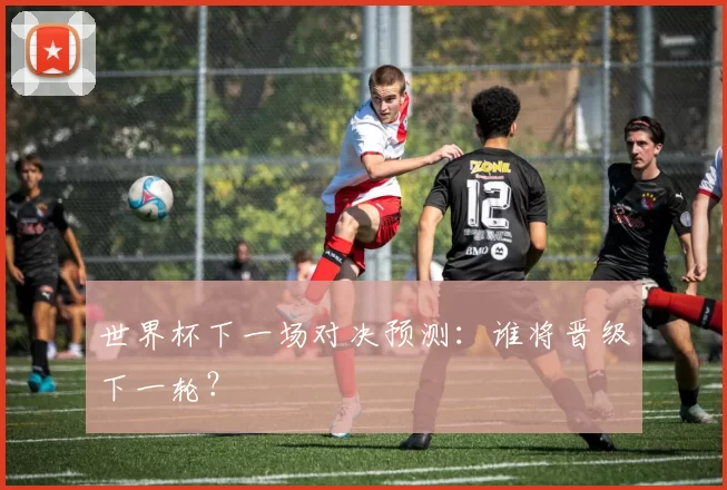 世界杯下一场对决预测:谁将晋级下一轮?