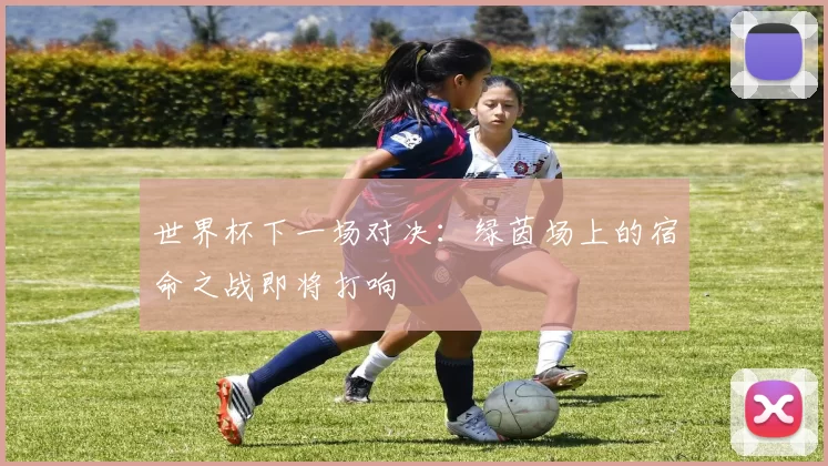世界杯下一场对决:绿茵场上的宿命之战即将打响
