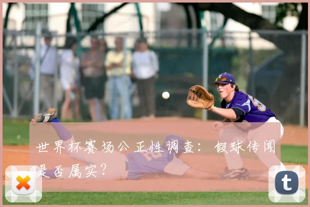 世界杯赛场公正性调查：假球传闻是否属实？