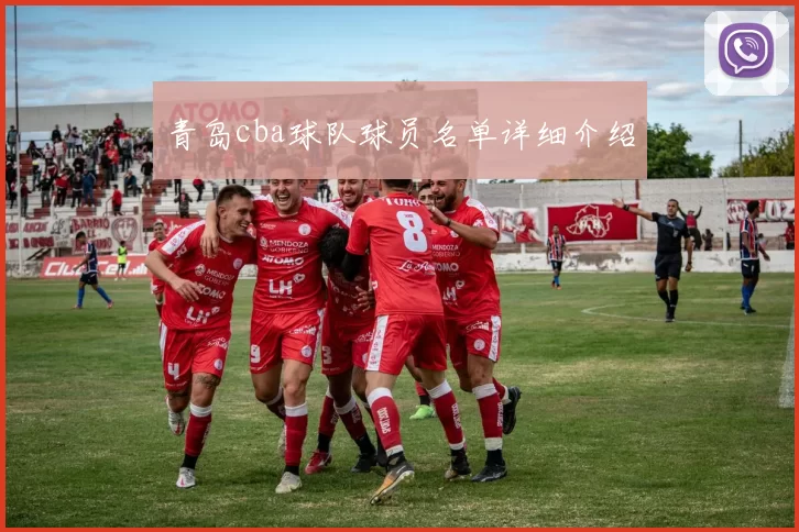 青岛cba球队球员名单详细介绍