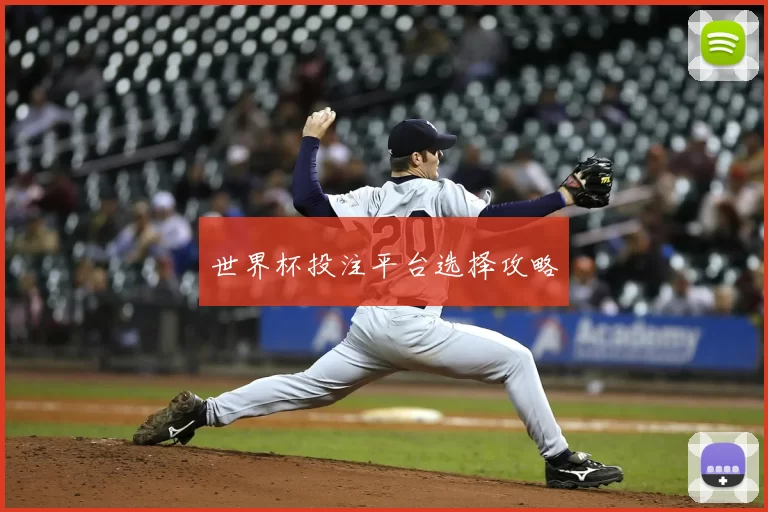 世界杯投注平台选择攻略